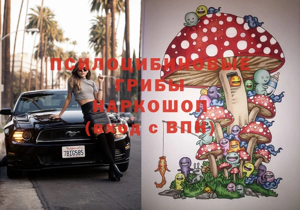 Альфа ПВП Алексин