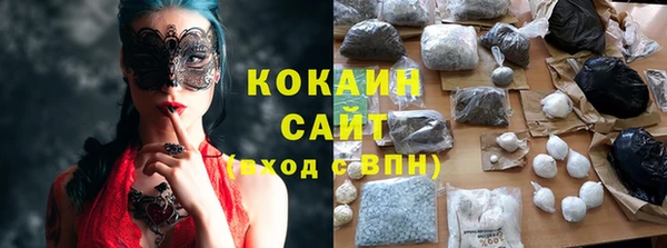хмурый Алзамай