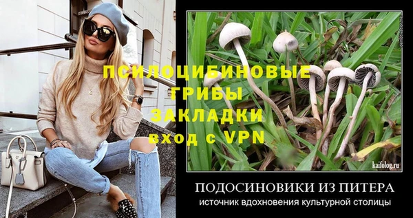 Альфа ПВП Алексин