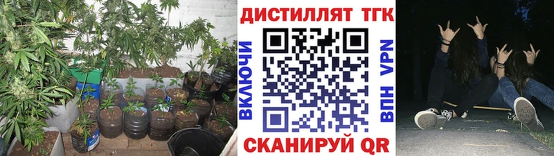 ТГК Wax  купить  сайты  Обоянь 
