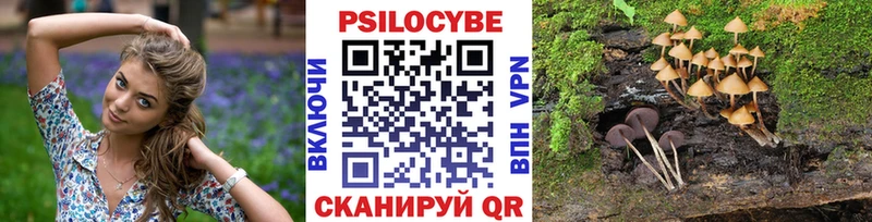 что такое   Обоянь  Псилоцибиновые грибы мухоморы 